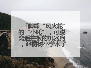 脚踩“风火轮”的“小吒”，可脱离遥控板的机器狗，泡桐树小学来了新朋友！